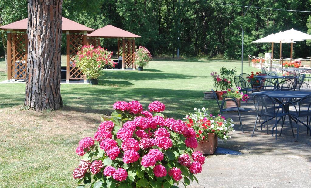 Agriturismo Antica Riserva Castiglione del Lago Luaran gambar